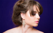 Load image into Gallery viewer, Savage Grape Wrinkle-Resistant Backdrop