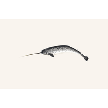 Load image into Gallery viewer, Narwhal Masterwork Canvas