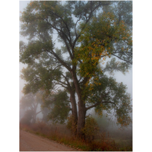Load image into Gallery viewer, Tree in Fog Fine Art Print
