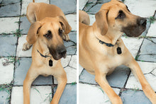 Load image into Gallery viewer, Savage Aged Pavers Floor Drop