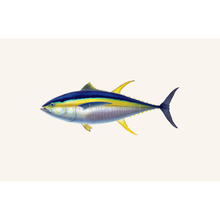 Load image into Gallery viewer, Yellowfin Tuna Masterwork Canvas