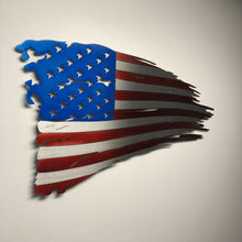 Load image into Gallery viewer, Old Glory