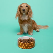 Load image into Gallery viewer, Customizable Pet Bowl