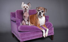 Load image into Gallery viewer, Savage Thunder Gray Seamless Paper