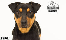 Load image into Gallery viewer, Savage Pure White Infinity Vinyl Background