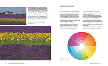 Load image into Gallery viewer, Understanding Color in Photography: Using Color, Composition, and Exposure to Create Vivid Photos