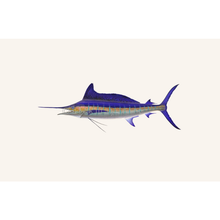 Load image into Gallery viewer, Striped Marlin Masterwork Canvas