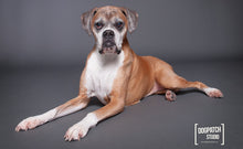 Load image into Gallery viewer, Savage Thunder Gray Seamless Paper