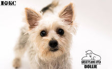 Load image into Gallery viewer, Savage Pure White Infinity Vinyl Background