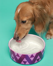 Load image into Gallery viewer, Customizable Pet Bowl