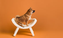 Load image into Gallery viewer, Savage Sienna Seamless Paper