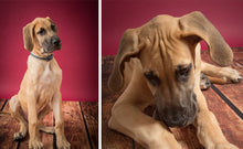 Load image into Gallery viewer, Savage Worn Planks Floor Drop