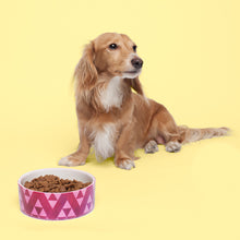 Load image into Gallery viewer, Customizable Pet Bowl