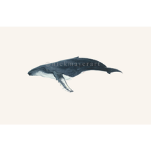 Load image into Gallery viewer, Humpback Whale Masterwork Canvas