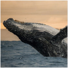 Load image into Gallery viewer, Custom Wood Prints