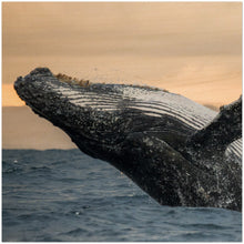 Load image into Gallery viewer, Custom Wood Prints