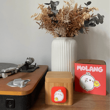 Load image into Gallery viewer, Lovebox Molang
