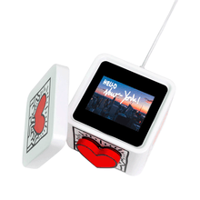 Load image into Gallery viewer, Keith Haring Lovebox
