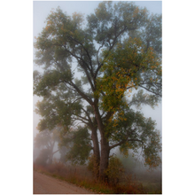 Load image into Gallery viewer, Tree in Fog Fine Art Print
