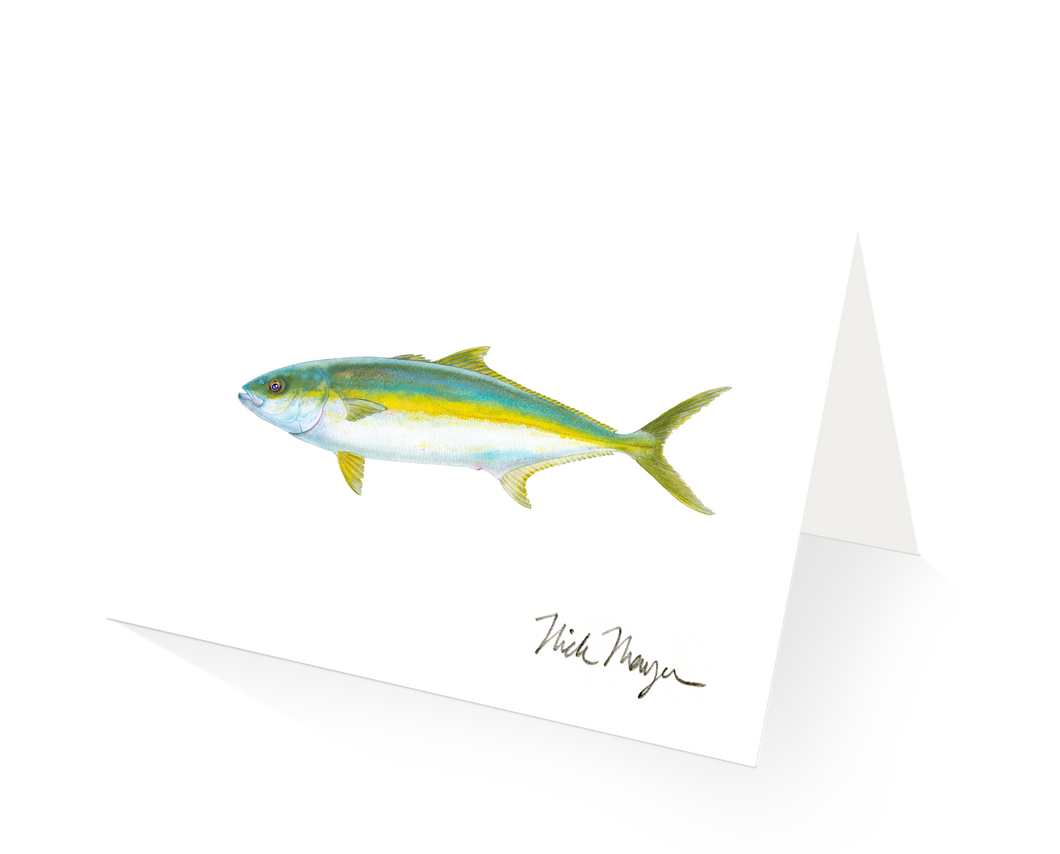 California Yellowtail 1