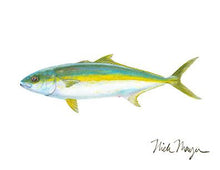 Load image into Gallery viewer, California Yellowtail 1
