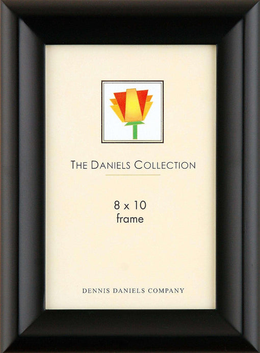 Dennis Daniels 8x10 Contour Frame