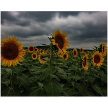 Load image into Gallery viewer, Storm Approaching Two Fine Art Print
