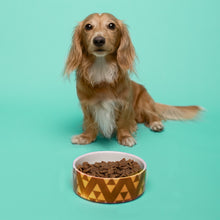 Load image into Gallery viewer, Customizable Pet Bowl
