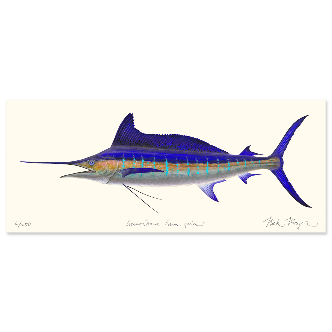 Striped Marlin Masterwork Canvas
