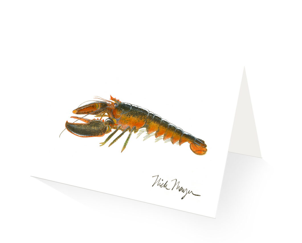 Northern Lobster II
