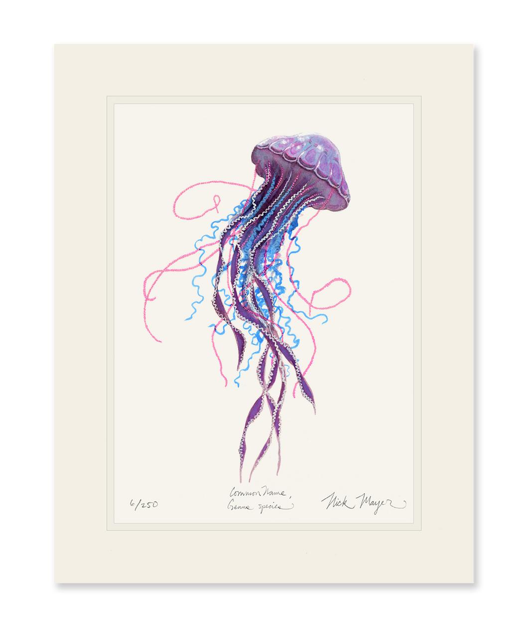 Purple Jellyfish II