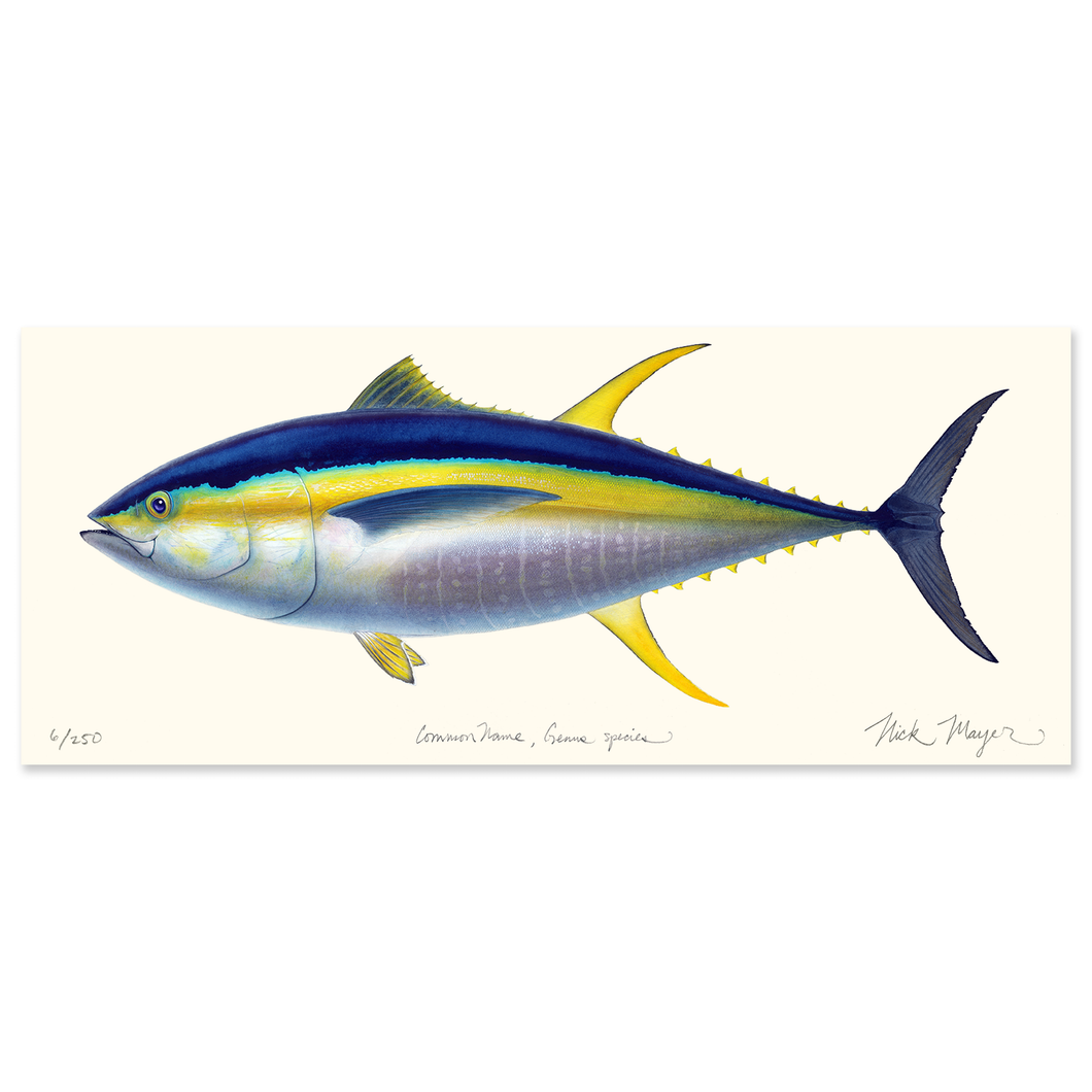Yellowfin Tuna Masterwork Canvas
