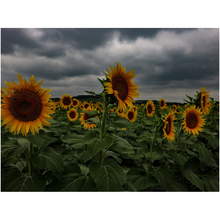 Load image into Gallery viewer, Storm Approaching Two Fine Art Print
